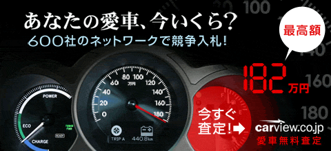 carview���Ԗ�������