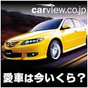 ���T�̒��ڏ��