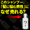 今週の注目情報